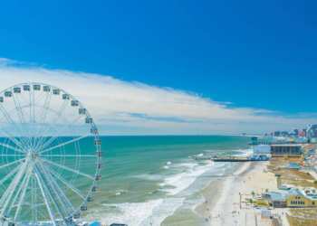 Beached Whale in Atlantic City Brings Crowds and Cranes to Remove the Gigantic Mammal