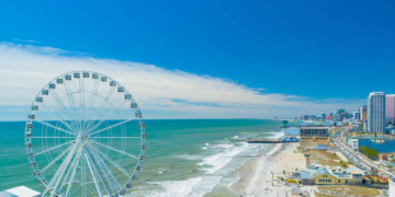 Beached Whale in Atlantic City Brings Crowds and Cranes to Remove the Gigantic Mammal
