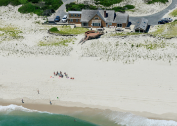 Atlantic City beached whale finally identified as Governor Christie.