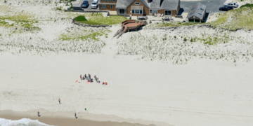 Atlantic City beached whale finally identified as Governor Christie.