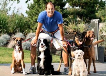 Disgraced, Unlicensed Dog Trainer Not Trainer At All; Just Loves Giving Puppies Treats. Fleeces Dog Owners for Millions.