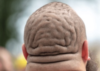 Fat guy with fat head is my history teacher.