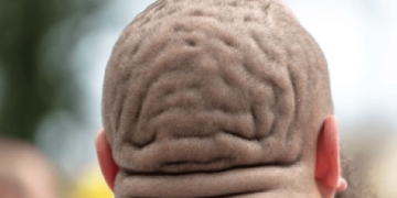 Fat guy with fat head is my history teacher.