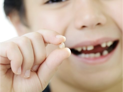 Mother sifting through feces to find child’s swallowed lost tooth insists she is not a moron.