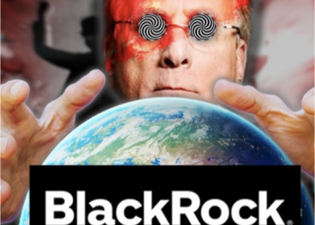 BlackRock Now Owns 80% of Bounce Houses in America